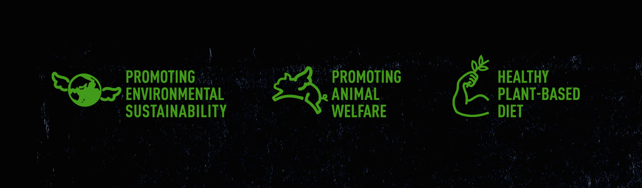 REDFIRE_Jettzy_branding_packaging_digital_graphicdesign_designagency