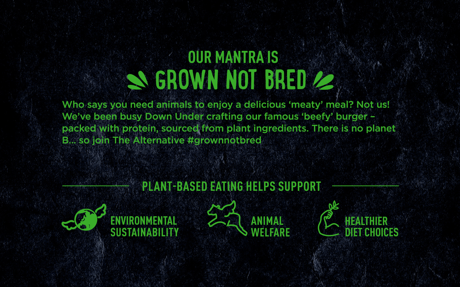 redfire-alternative-meat-plant-based-food-brand-positioning-nz redfire-alternative-meat-plant-based-food-brand-positioning-nz