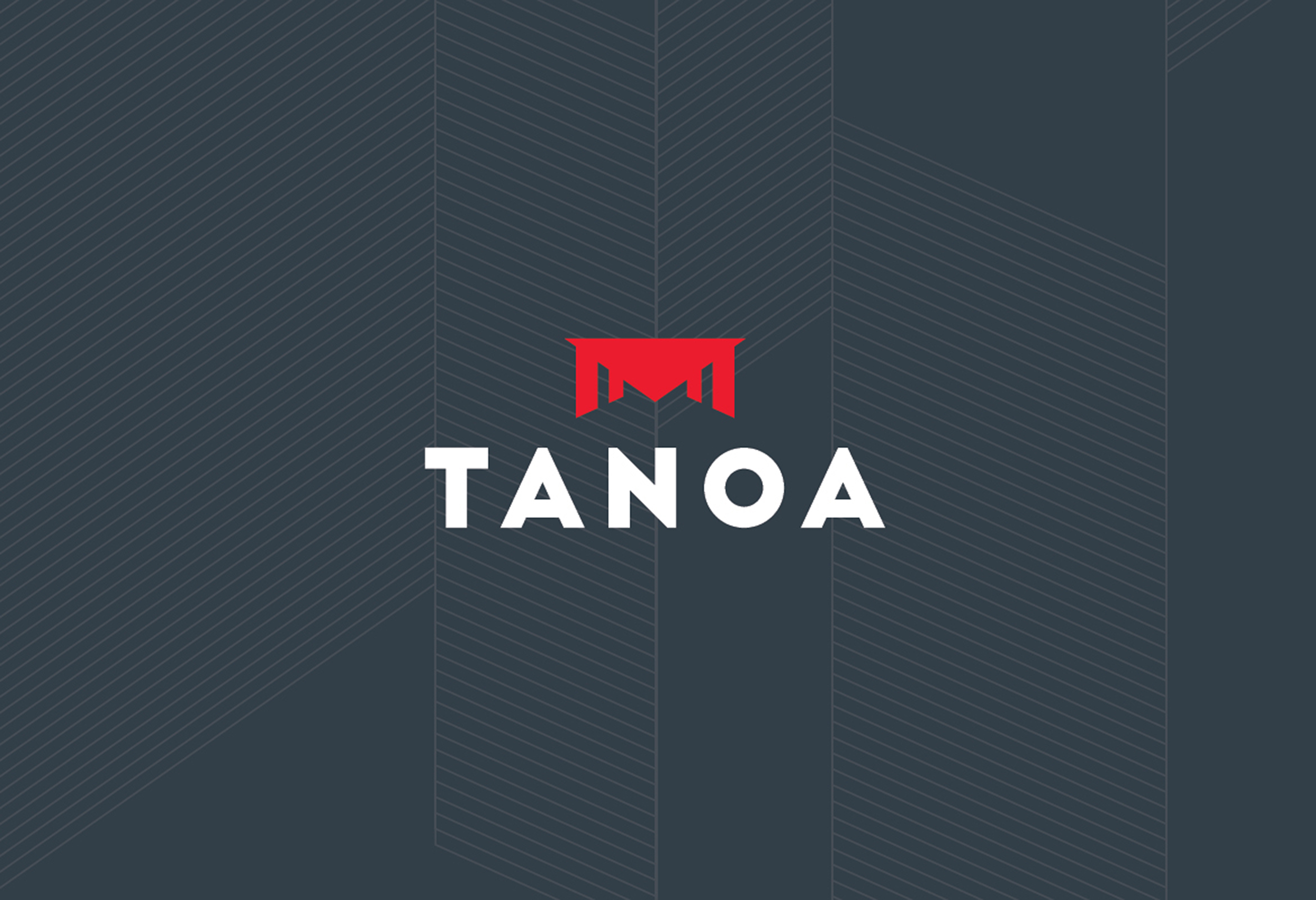 redfire-tanoa-hotel-group-logo-banner-nz