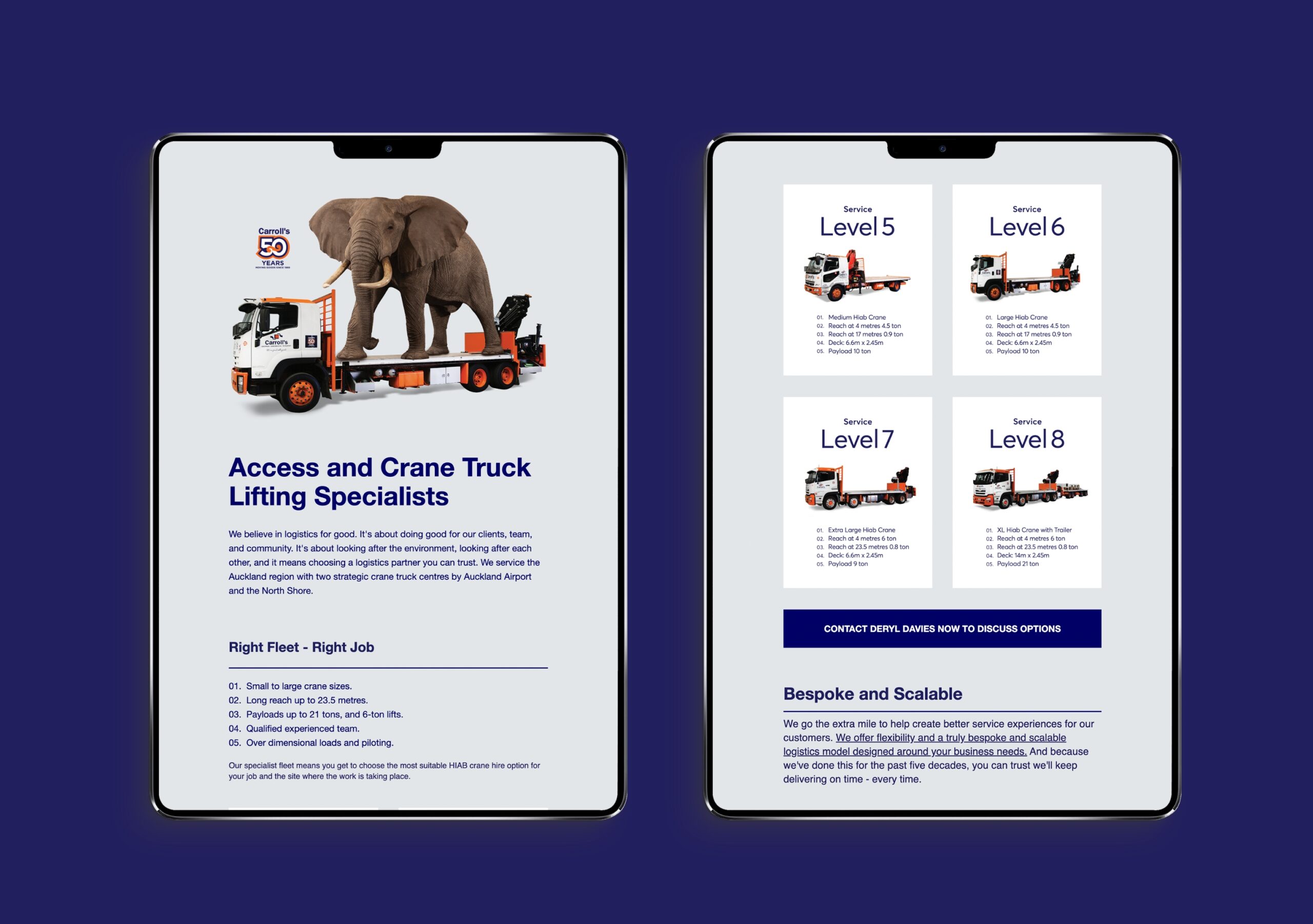 redfire-carrolls-branding-advertising-edm redfire-carrolls-branding-advertising-edm