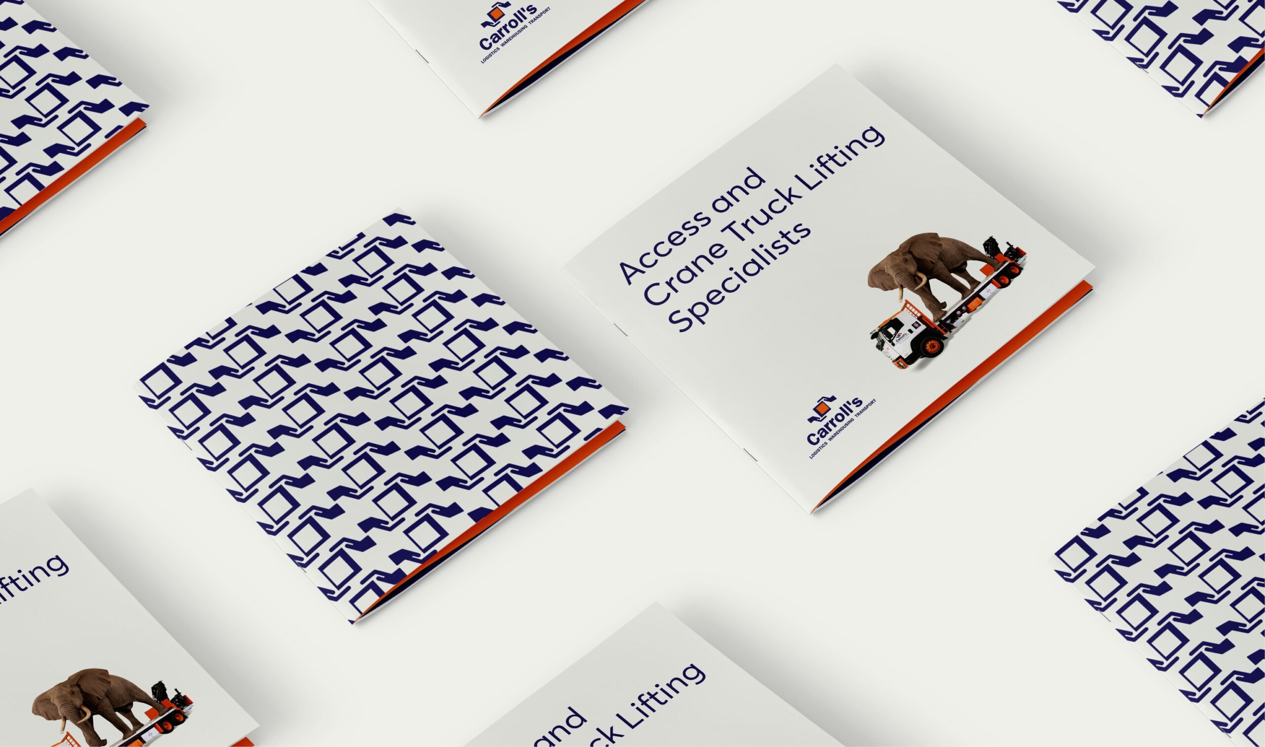 redfire-carrolls-branding-advertising-folding-brochure redfire-carrolls-branding-advertising-folding-brochure