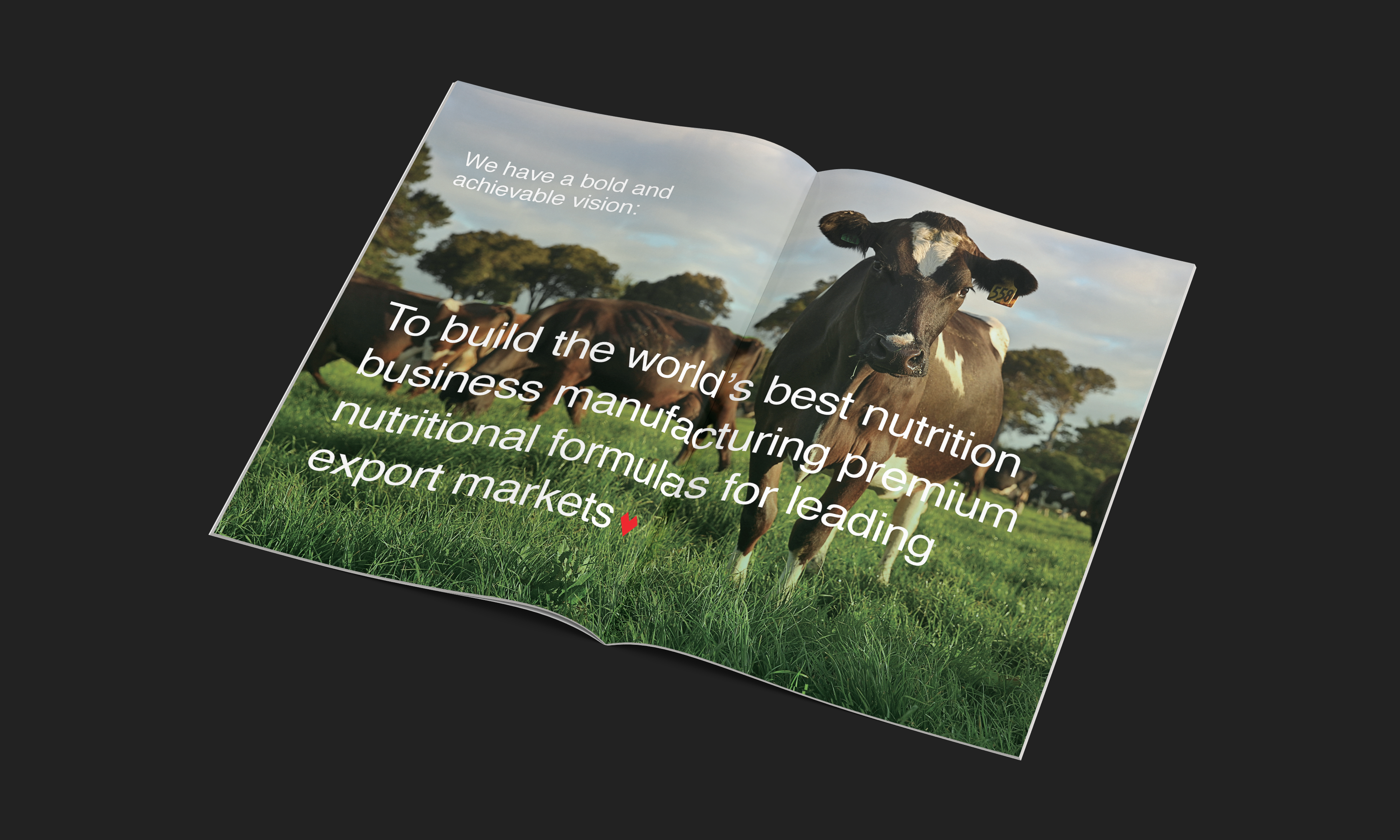 Brand Proposition for Global Dairy Markets