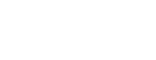 nzst-resized-BW