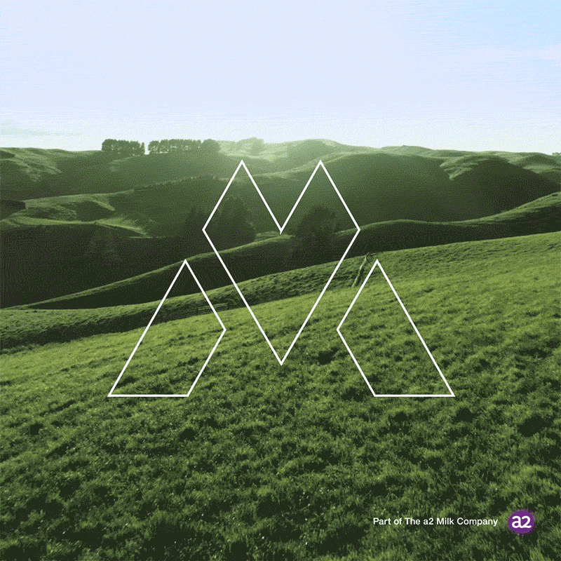 Brand Proposition for Global Dairy Markets